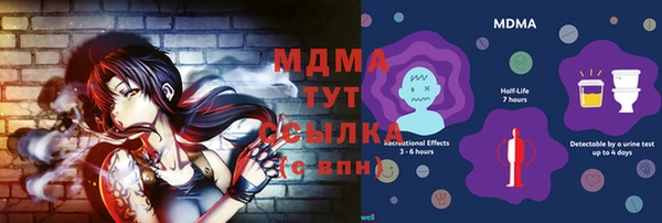 прущие грибы Балабаново