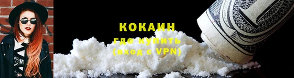прущие грибы Балабаново