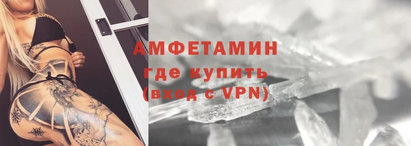 прущие грибы Балабаново