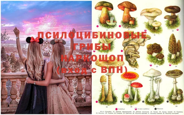 mix Баксан