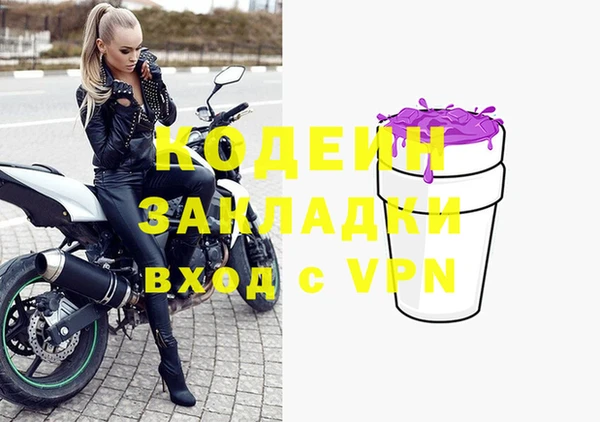 прущие грибы Балабаново