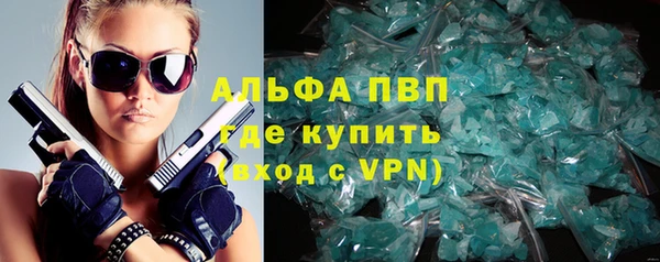 сатива Гвардейск