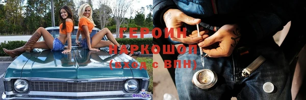 индика Галич