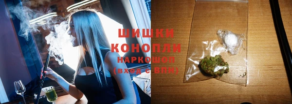 сатива Гвардейск