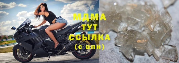 прущие грибы Балабаново