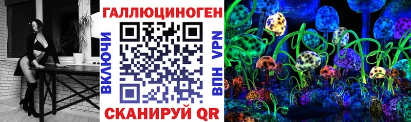 Псилоцибиновые грибы мицелий Красный Холм
